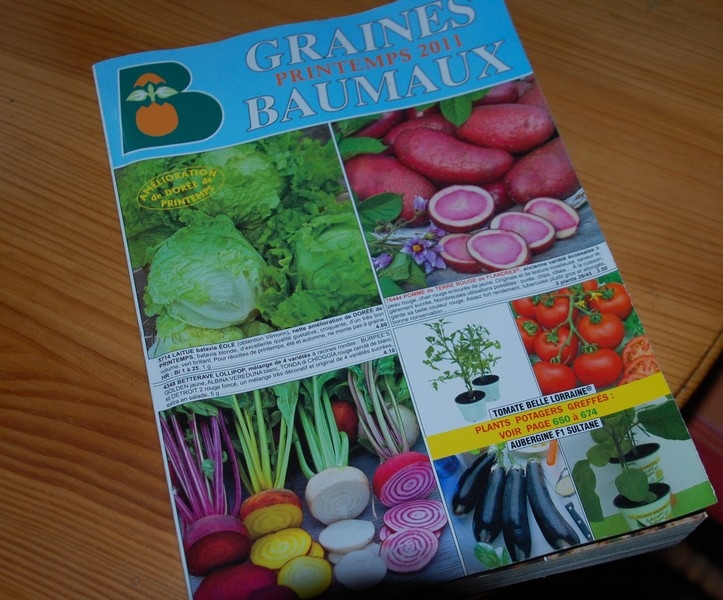 Les légumes oubliés, légumes anciens, ceux de nos grands parents, graines  baumaux – Le Jardin de Nanny